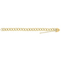 9 Carat (375) Yellow Gold Ladies' 8 Inches Charm Bracelet — 19.8g