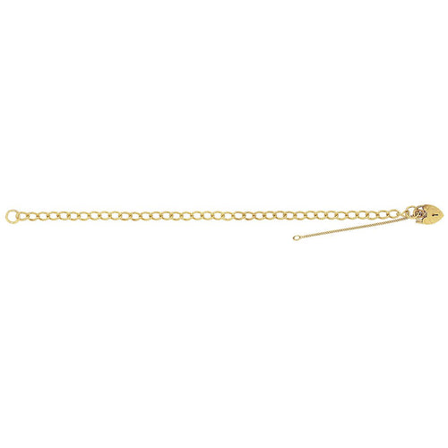 9 Carat (375) Yellow Gold Ladies' 7 Inches Charm Bracelet — 5.0g