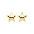9ct Yellow Gold Star Studs