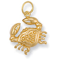 9ct Yellow Gold Cancer Zodiac Pendant