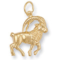 9ct Yellow Gold Capricorn Zodiac Pendant