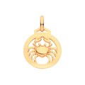 9ct Yellow Gold Round Zodiac Pendant Cancer
