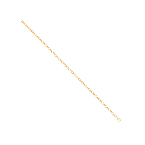14ct Yellow Gold Hollow Oval Faceted Belcher 3.5mm Chain